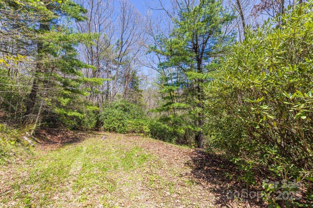 99999 Fairview Forest Drive