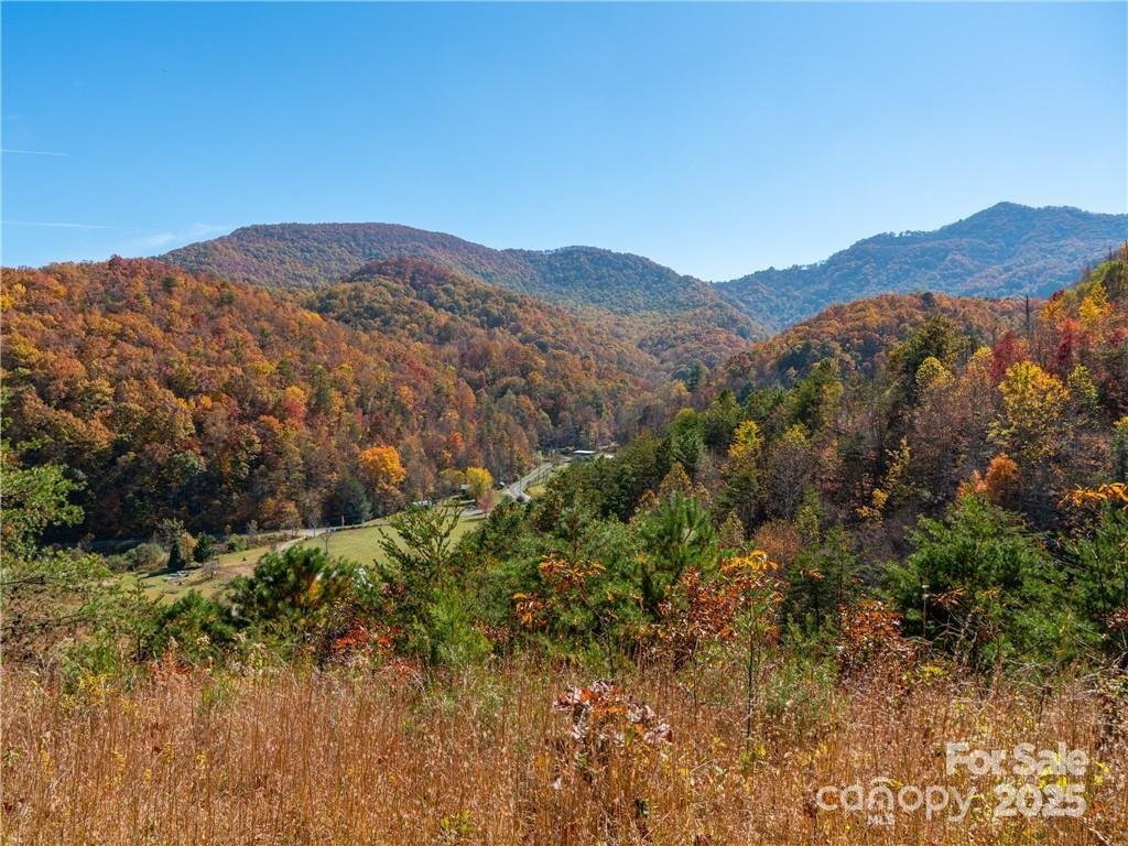 99999 Turkey Creek Road 1 & 2