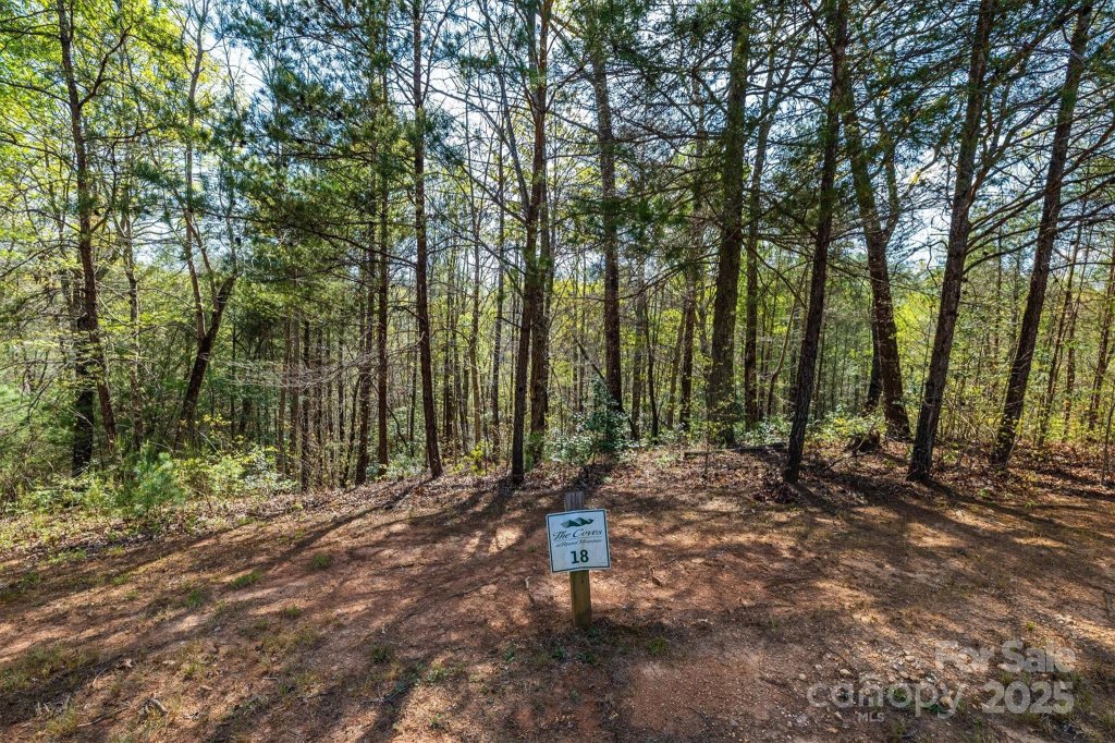 18 Walnut Ridge Way 2.65 Acres