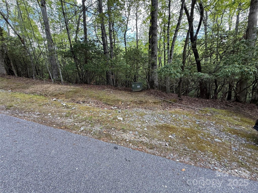 Tbd Tellico Trail 42/22