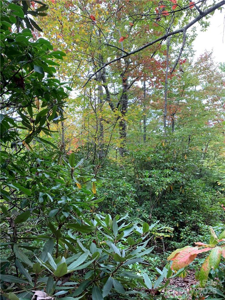 000 Eastatoe Gap Road