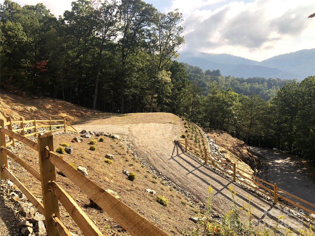 The Forest, Asheville community