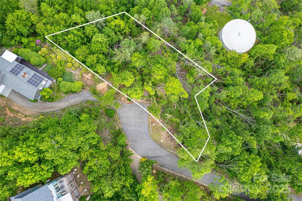 The Forest, Asheville community