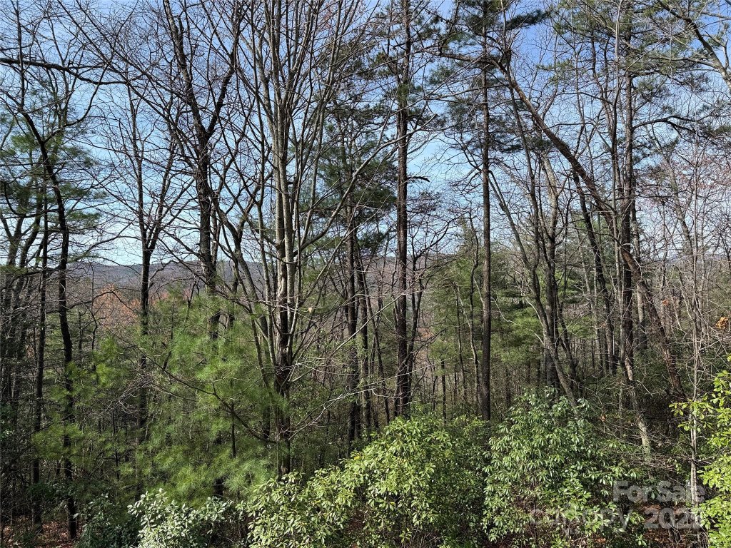 Tbd Casey Mountain Road