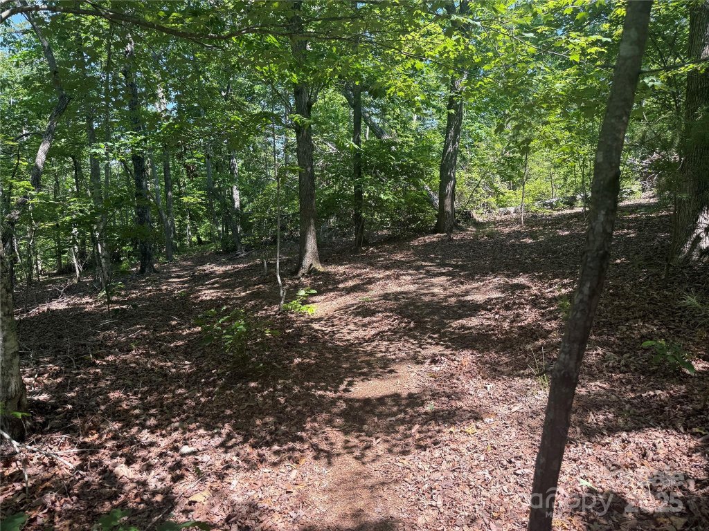 0 Crescent Ridge Lane 373