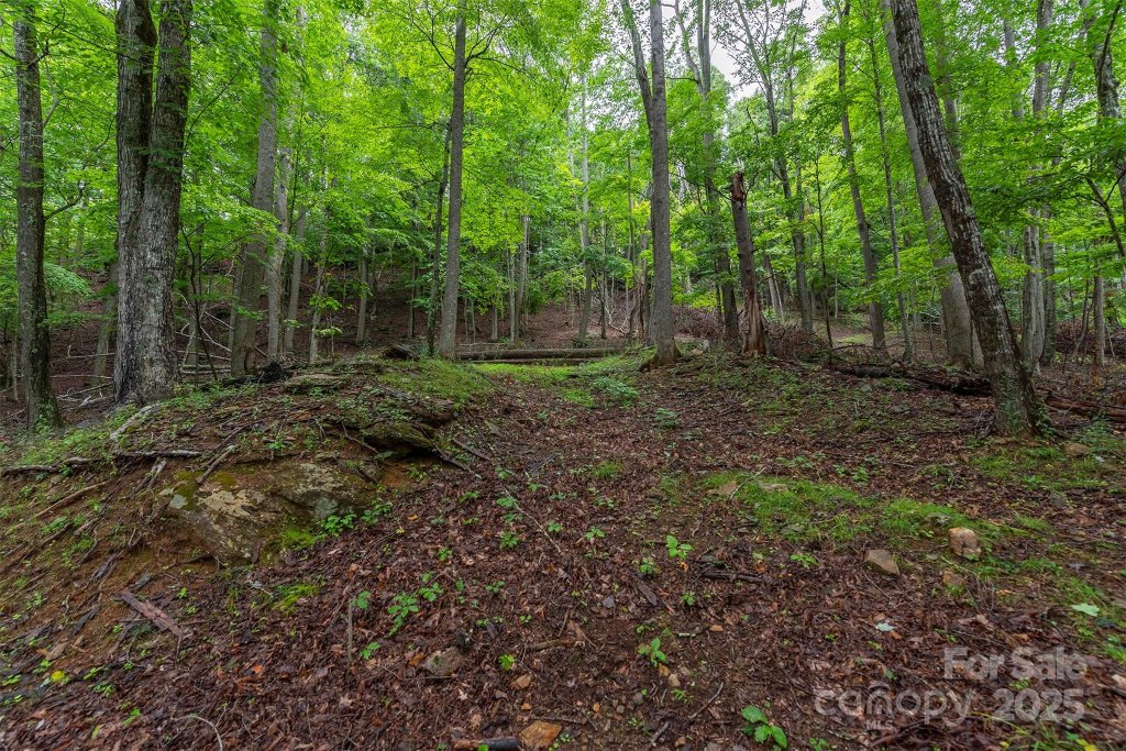 25 Hickory Springs Road