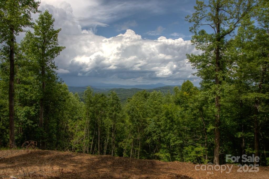 436 Bella Vista Court