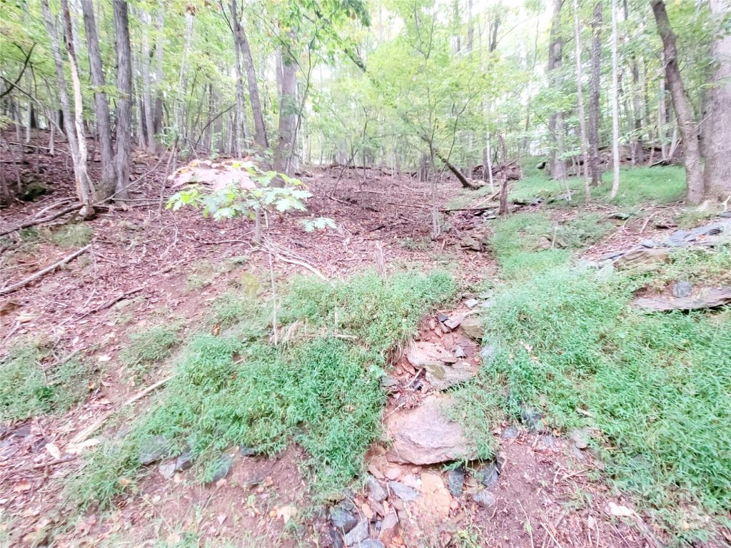 47 Sourwood Drive 197