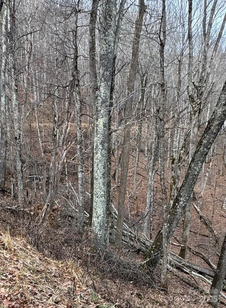 00 Spring Brook Drive 314