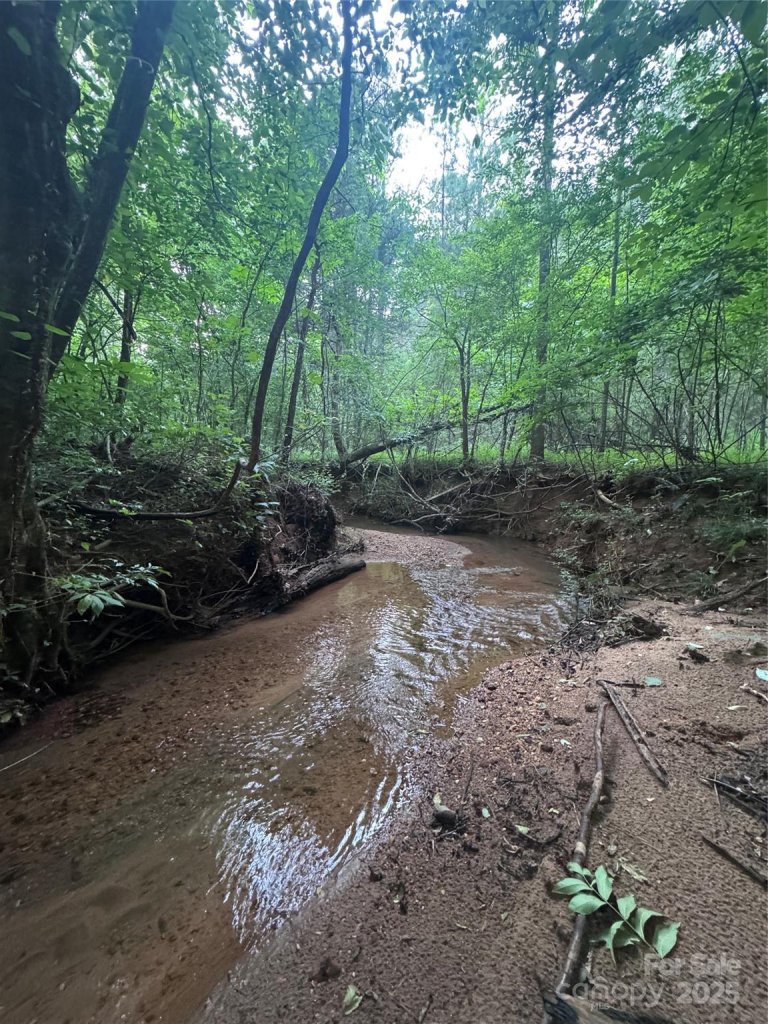 0 Clearwater Parkway 203