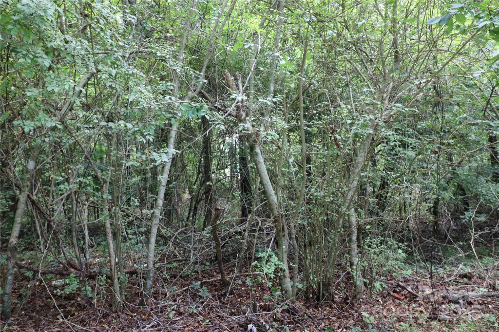 Whispering Pines, Forest City community