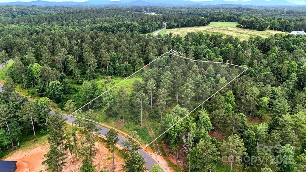 1933 Jumping Run 202