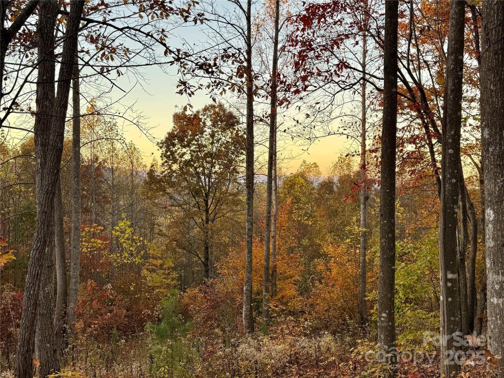 19 Meditation Ridge Extension