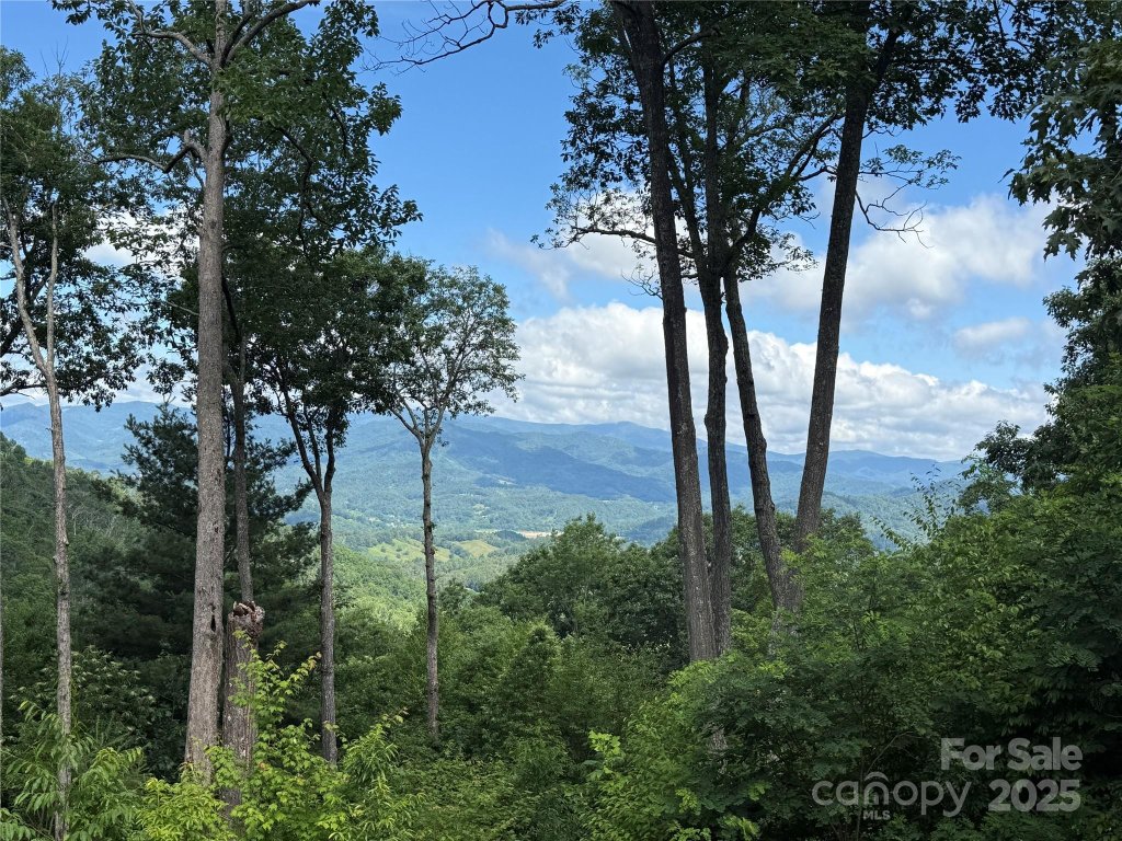 Lot 3 Heritage Ridge Loop 3/4