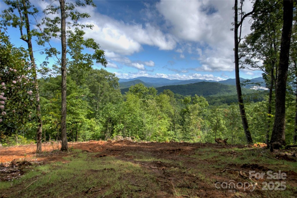 000 Charlie Woody Mountain Road