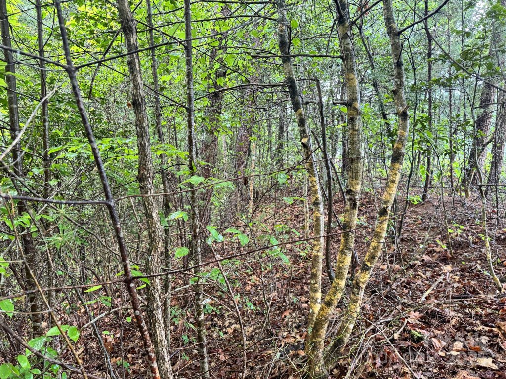 3666 Grandview Drive 23