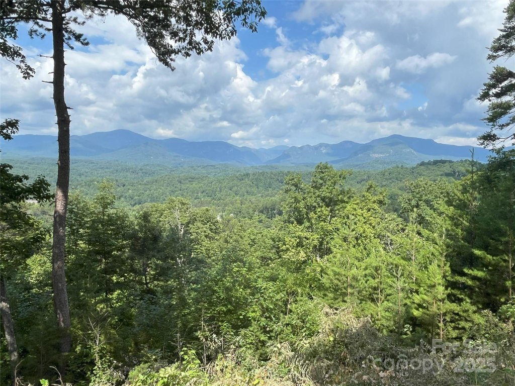 00 Bills Mountain Trail 6