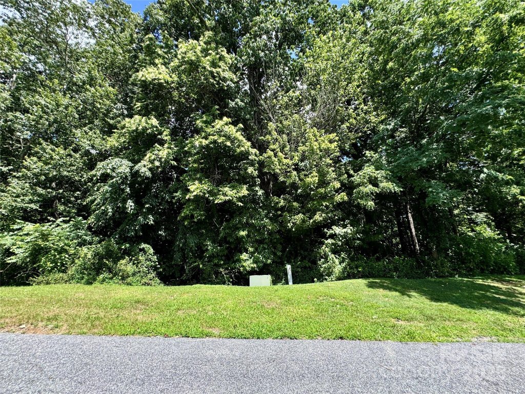 35 Ladys Fern Trail