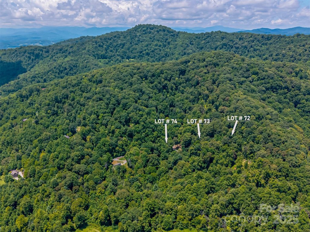 99999 Running Deer Lane 73