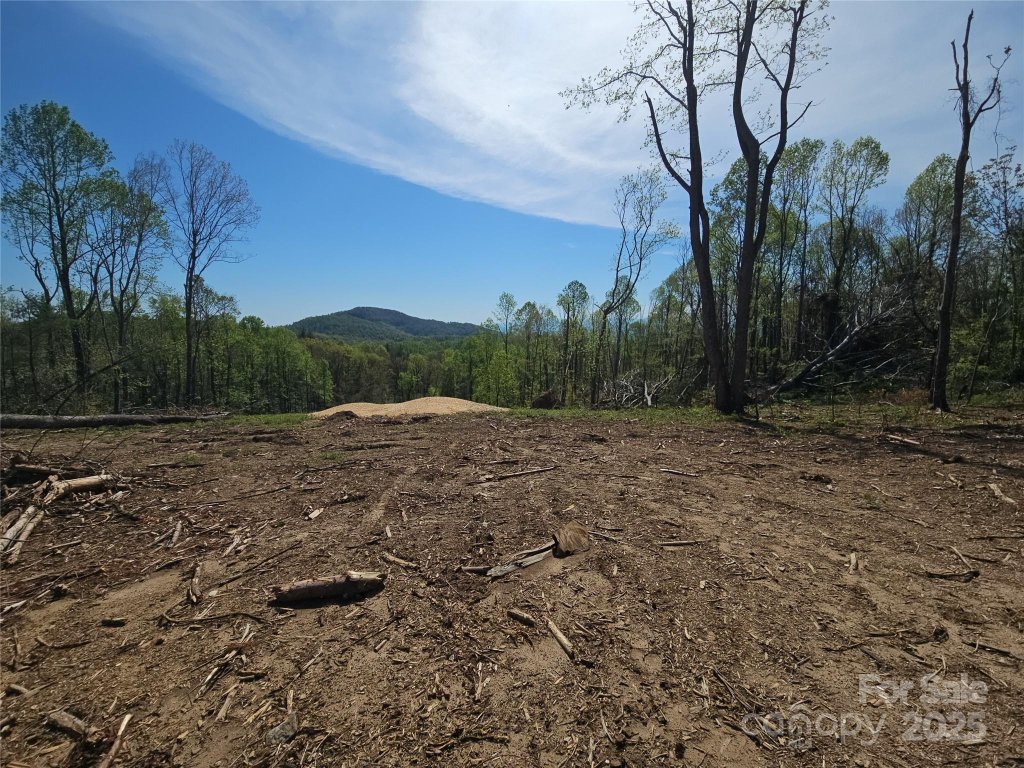 620 Dancing Bear Drive 195