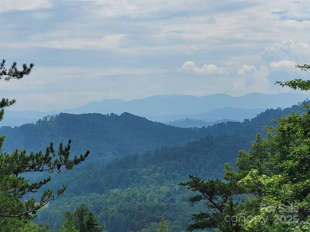 Oconee Falls, Marion community