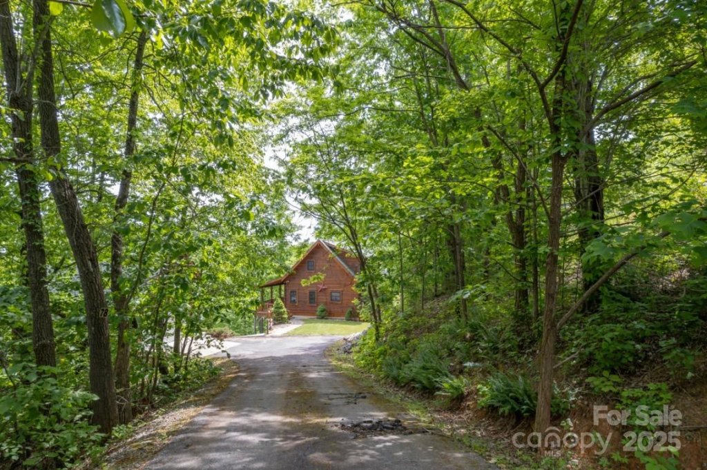 186 Black Ridge Drive