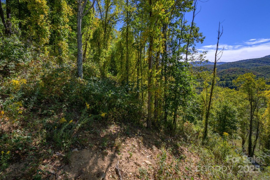 Lot 27 Silver Fox Lane