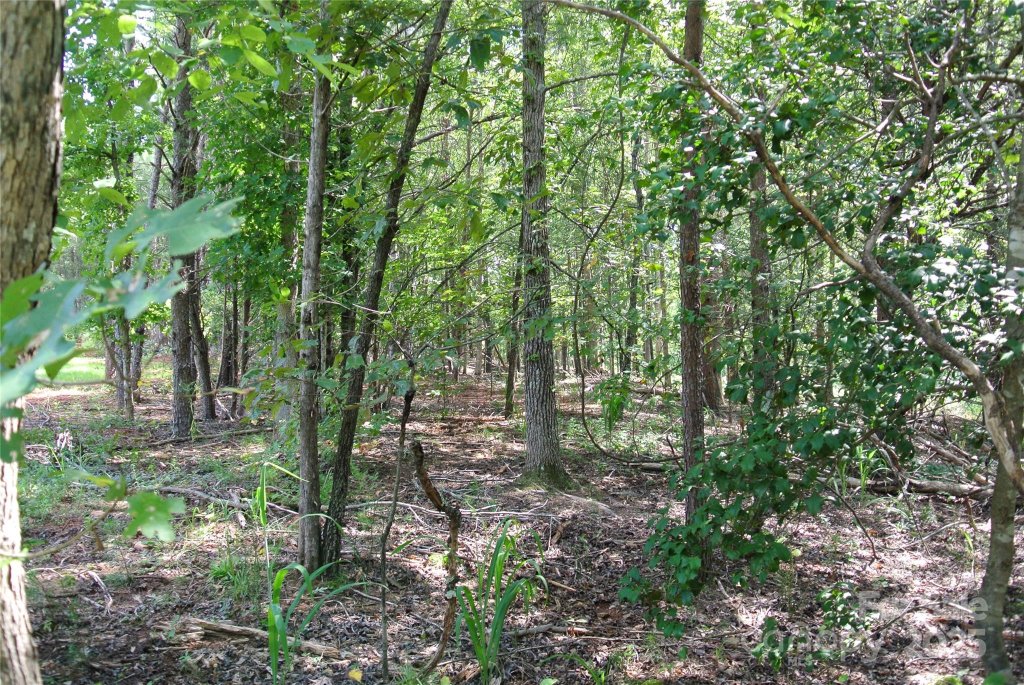 Lot 32 Whispering Pines Circle