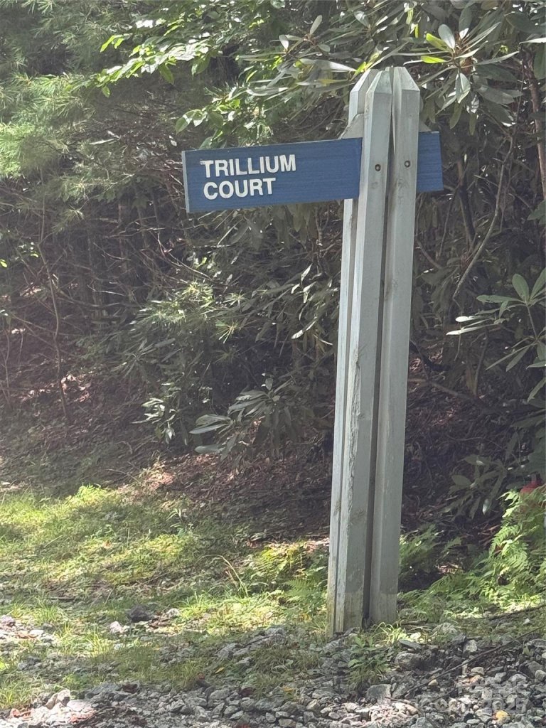 000 Trillium Court 37