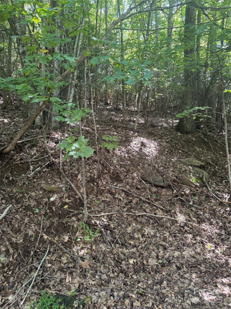 000 Wild Cherry Drive 187