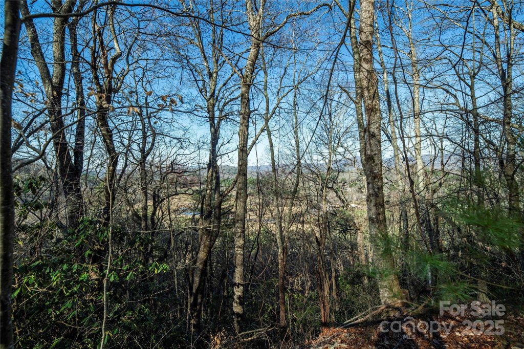 Tbd Three Mile Knob Road L2