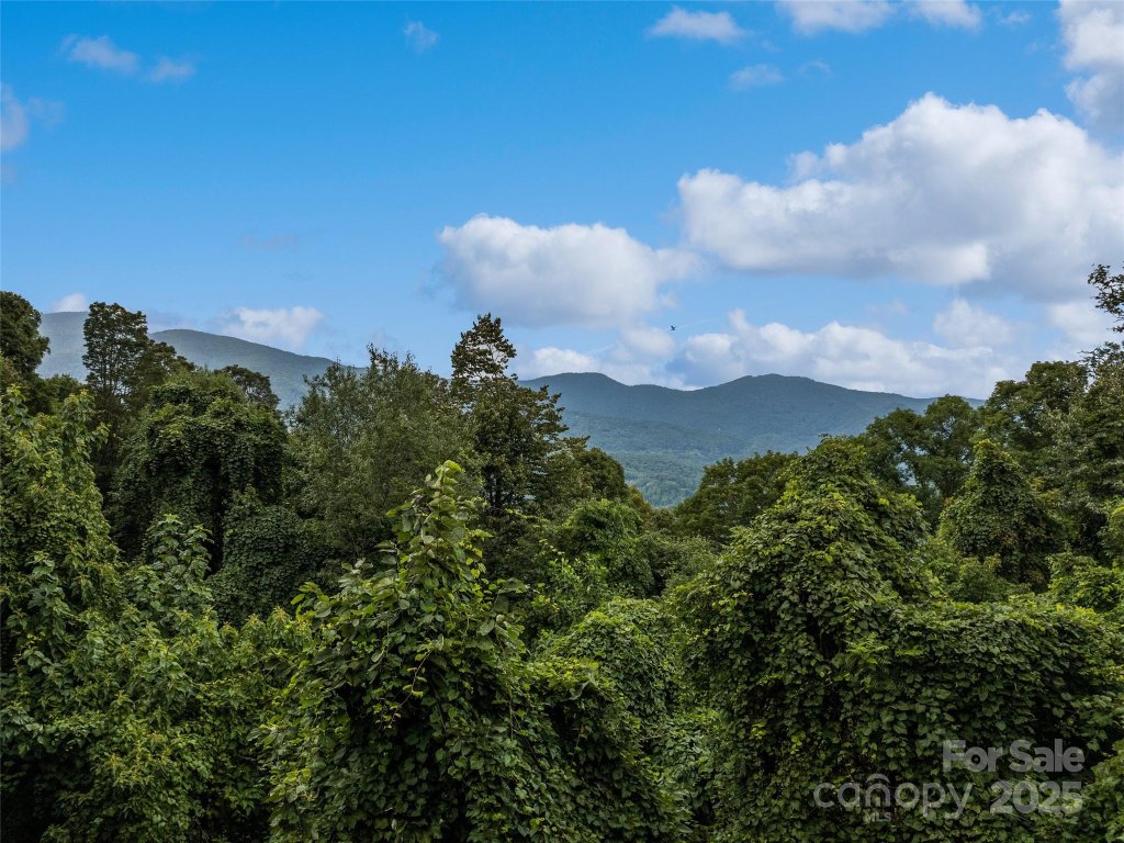 Apple Blossom Estates, Waynesville community