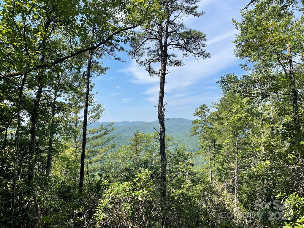 Tbd Morgan Drive Tract II