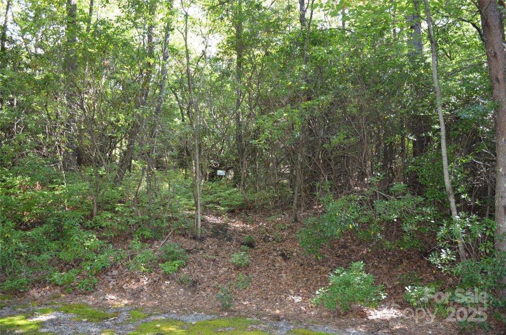 Sequoyah Woods, Brevard community