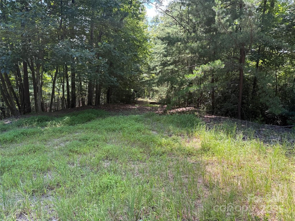Tbd Hickory Hollow Road 102 & 103