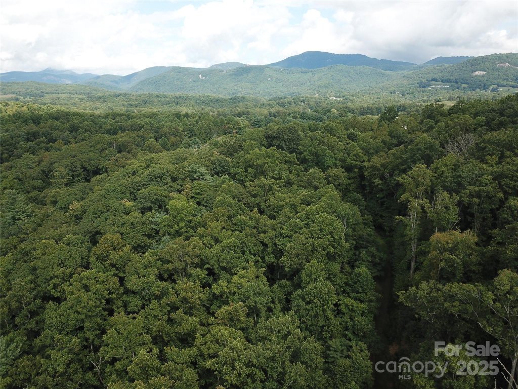 Bearwallow Glen, Hendersonville community