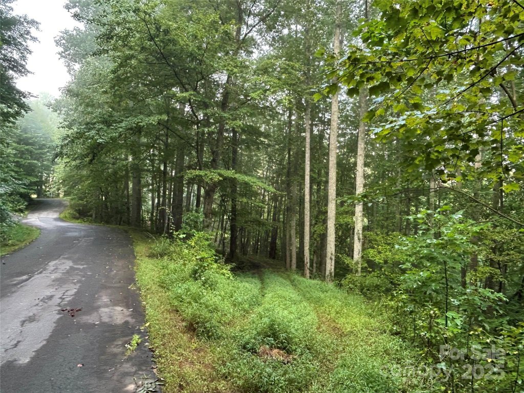 Lindon Cove Crossing, Candler community