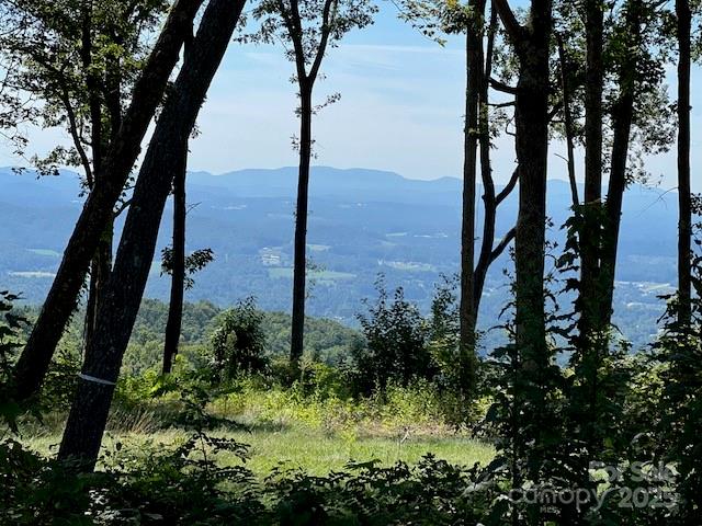 462 E Garden Trail 37