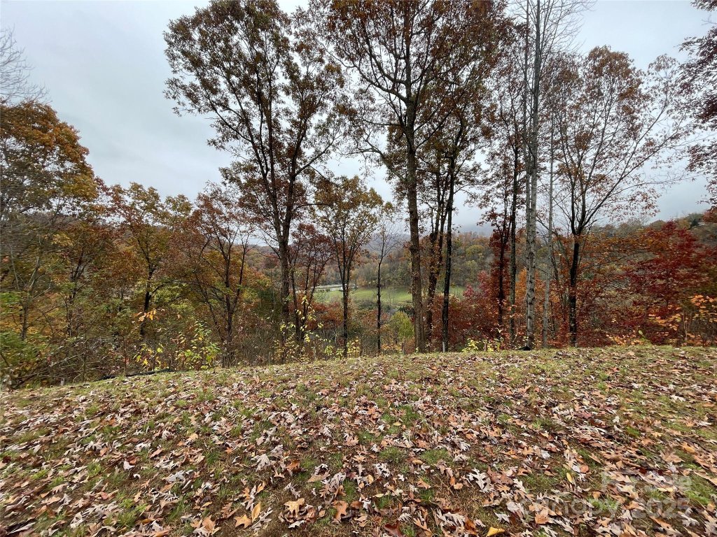 Campbell Mountain Estates, Waynesville community