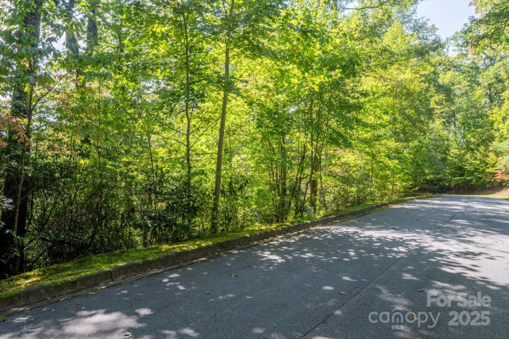 Tbd Pine Mountain Trail M79