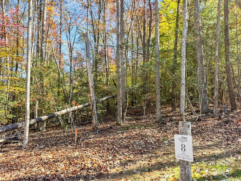 000 Nature Walk Lane 8
