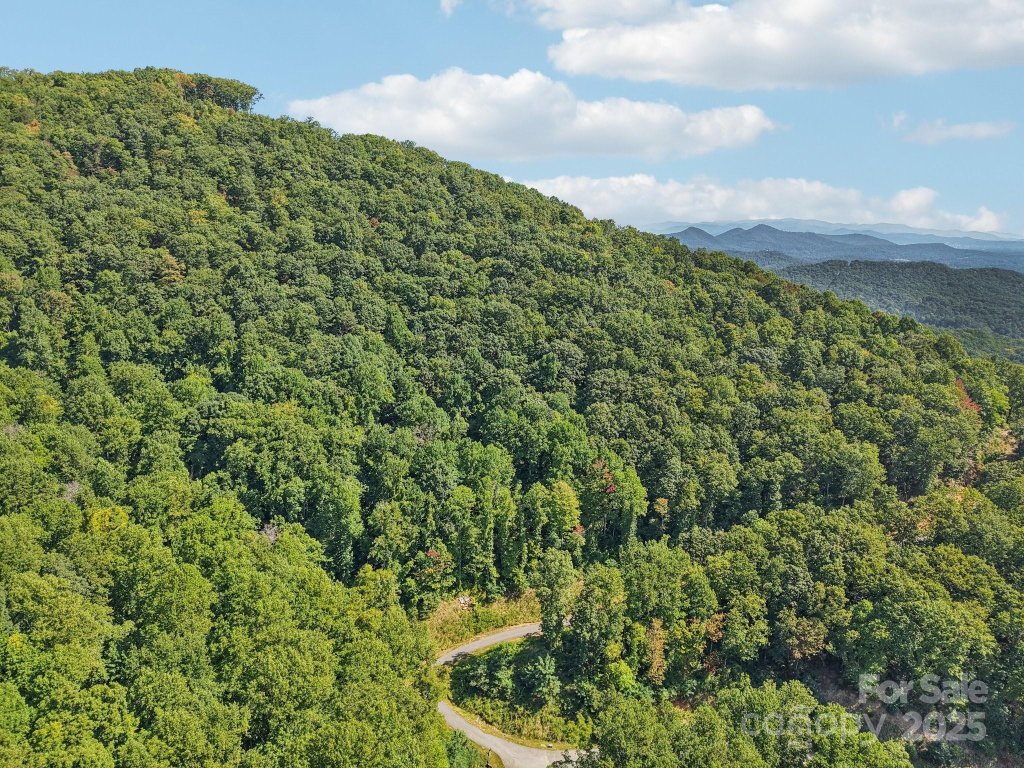 000 Biltmore View Drive 10