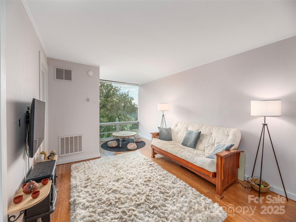 647 Town Mountain Road 501