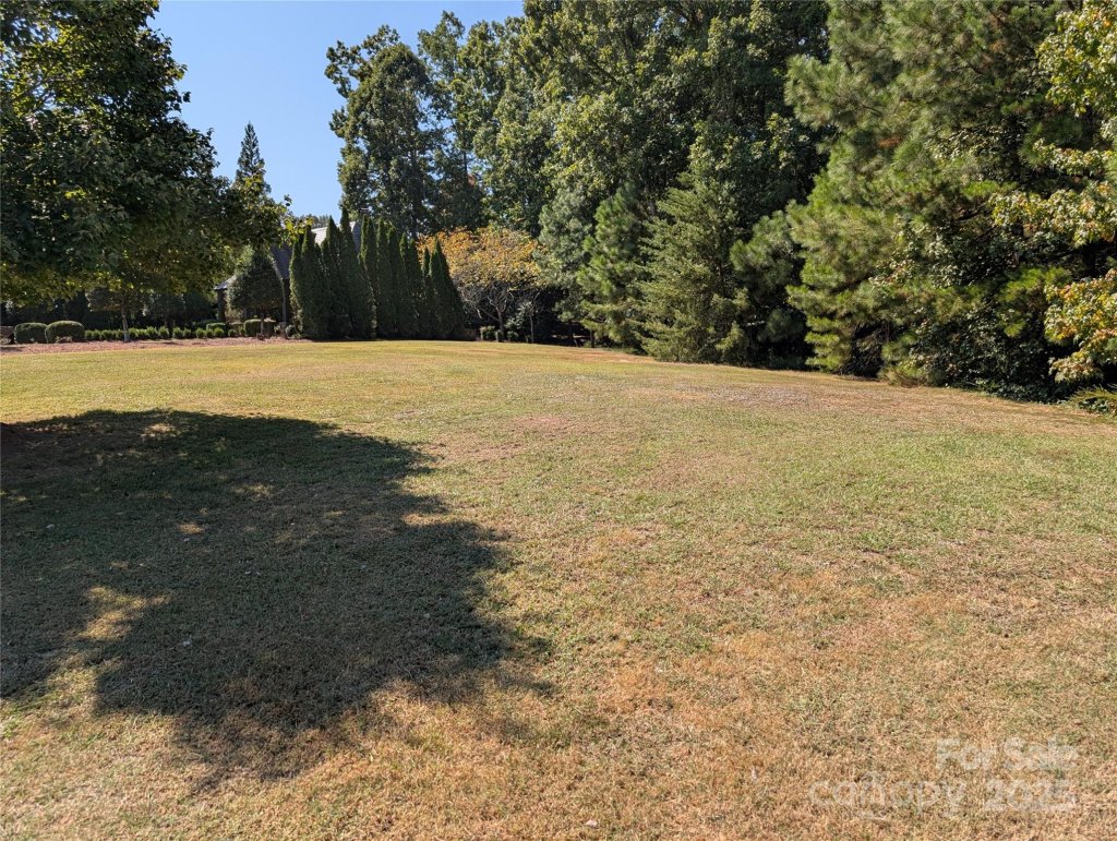 Montreux, Charlotte community