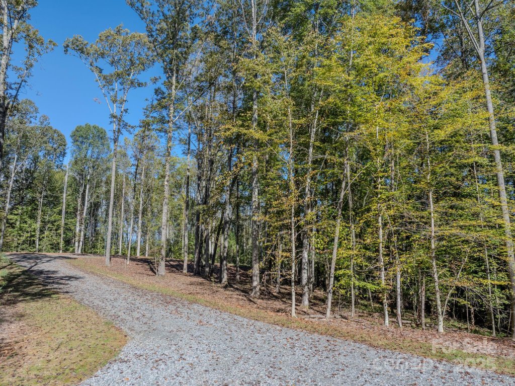000 Nature Walk Lane 9
