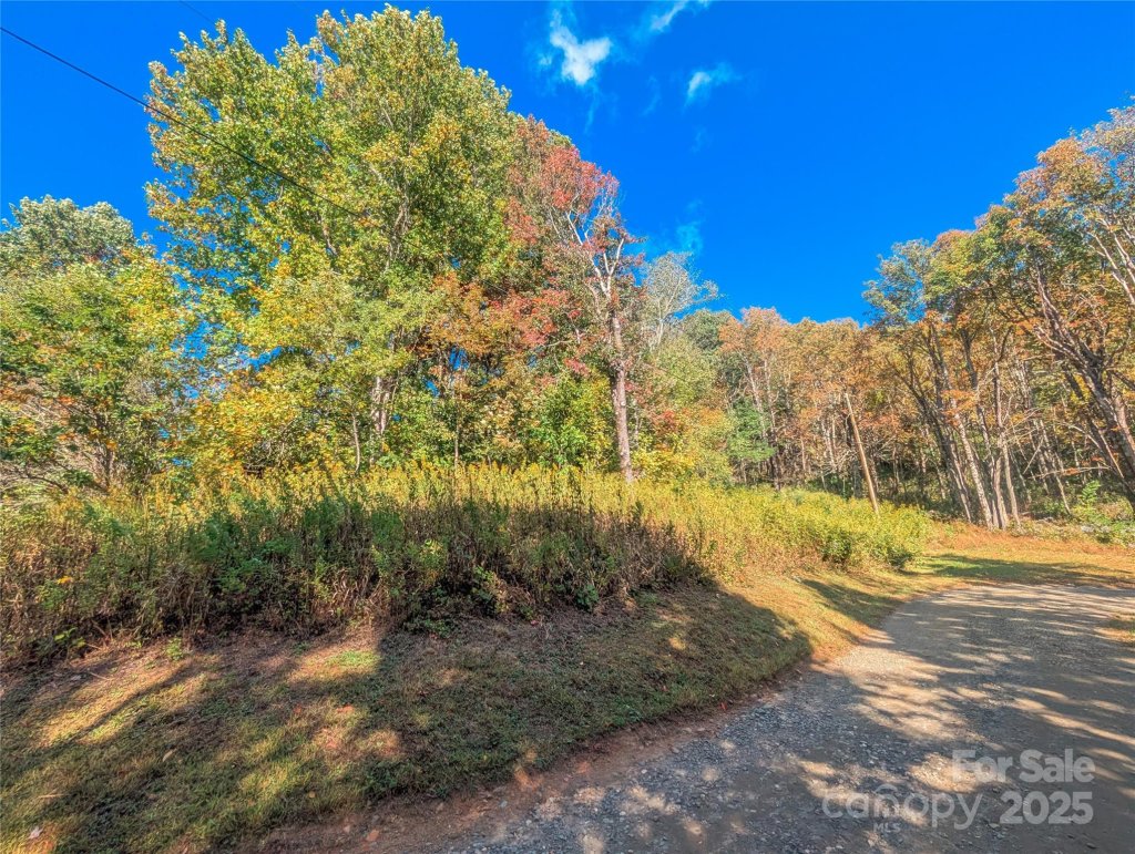 0000 Nicholas Knoll 41