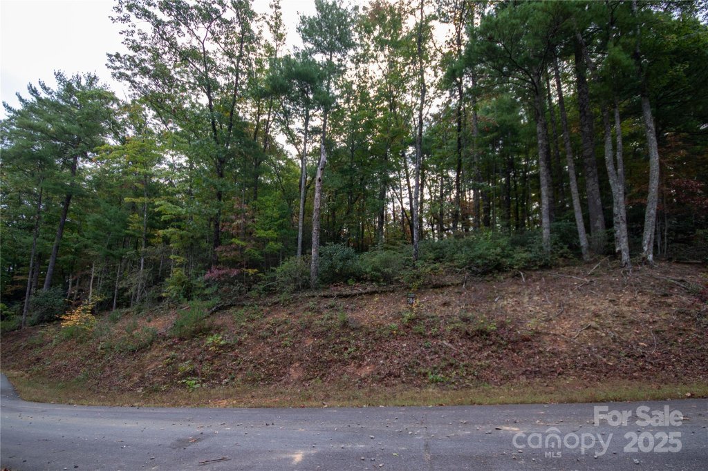Lot 594 Timberline Drive