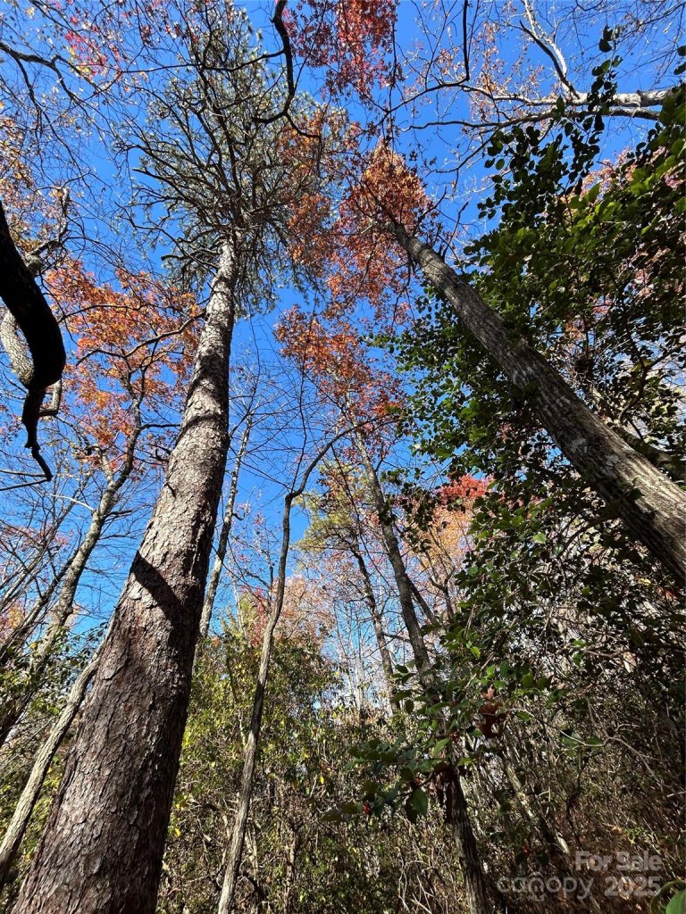 Lot 3 And 4 Oriole Road