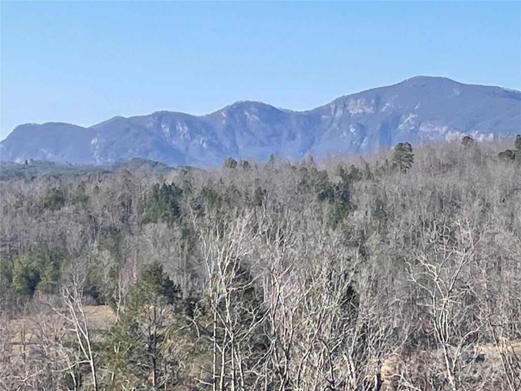 Mountain Laurel Estates, Mill Spring community
