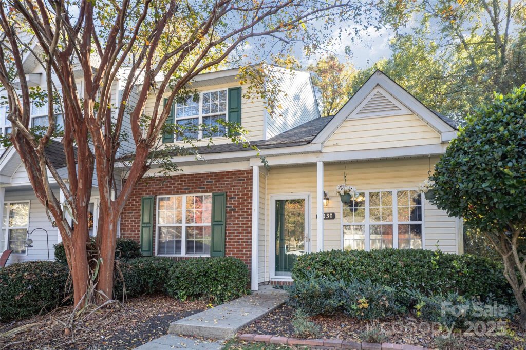 8230 Rudolph Road
